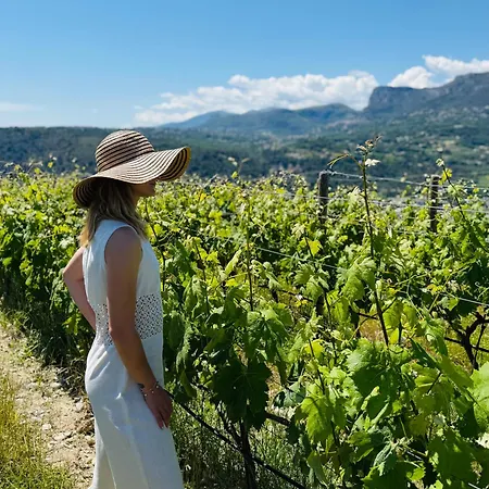 Maison C ゲストハウス