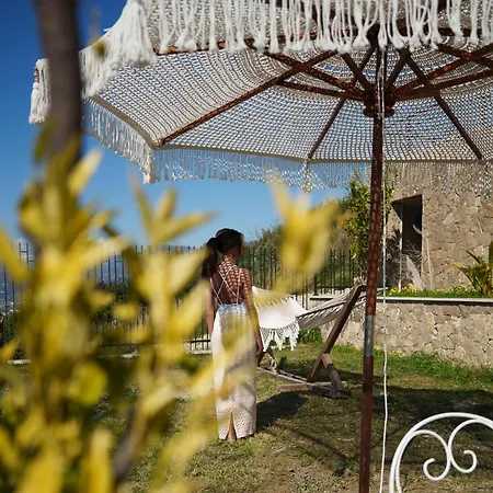 Πανσιόν Maison C
